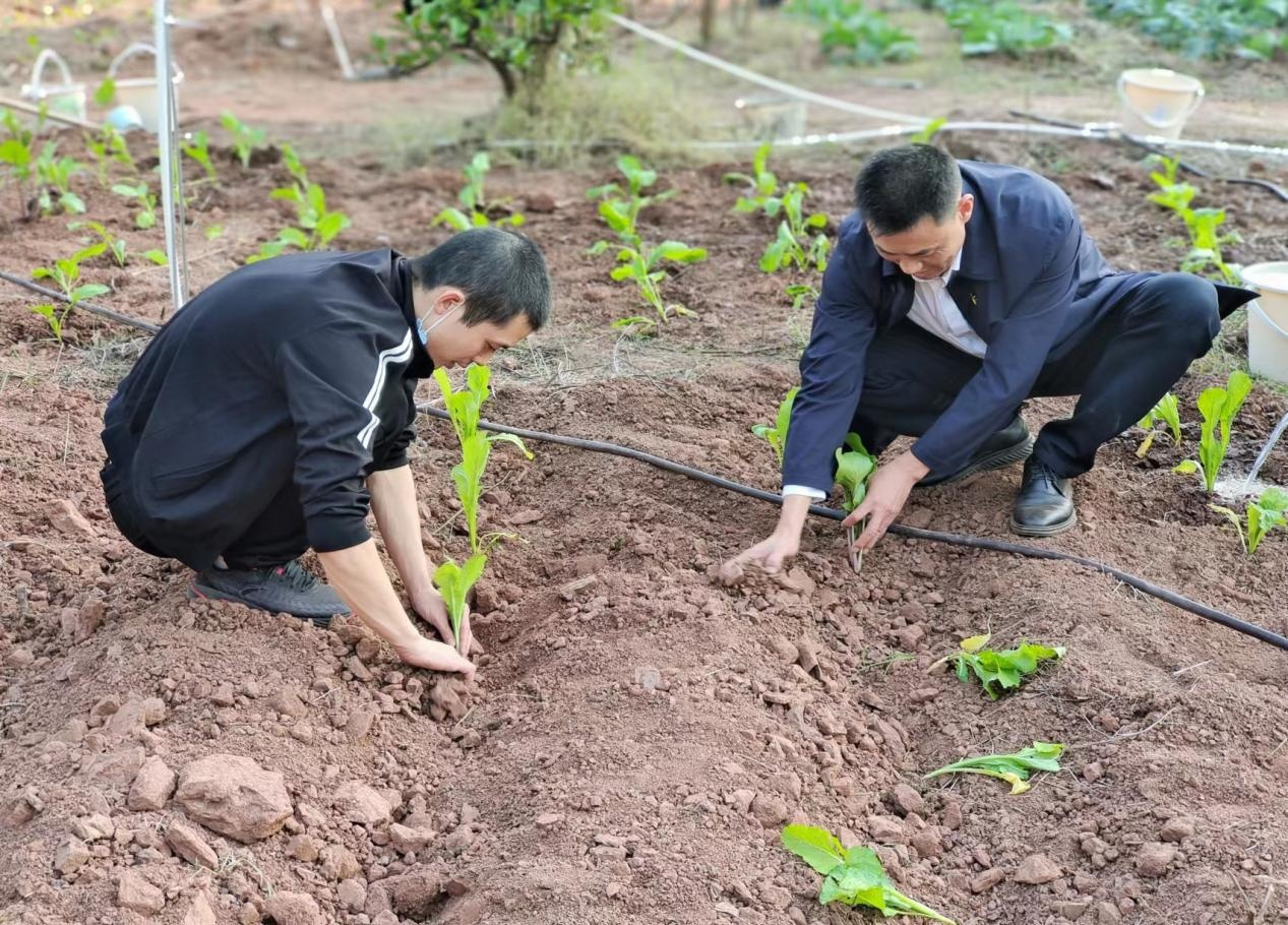 1666688393438044.png 12.png